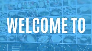 Morton's The Steakhouse | Foodies and Friends