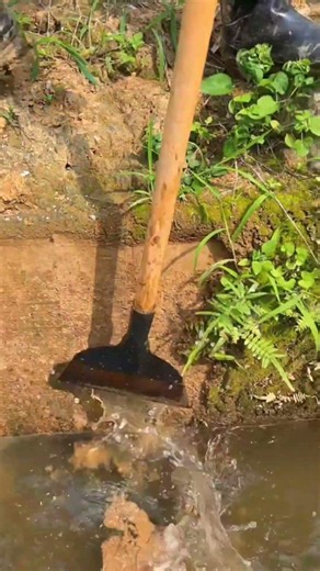 This video captures shaving a mossy embankment with a sharp spade #shorts