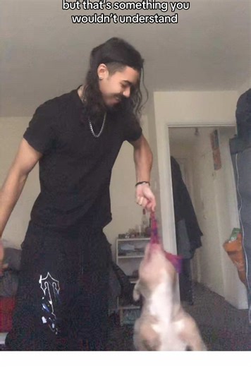 The Simple Joys of Dogs vs. Humans