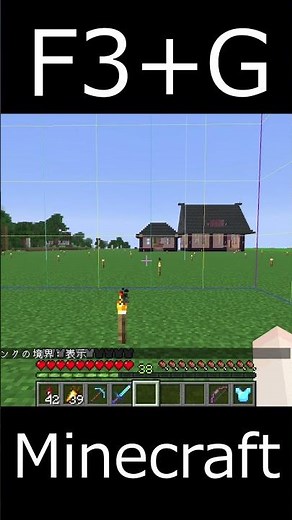 【マイクラ】チャンク境界を一瞬で表示する方法