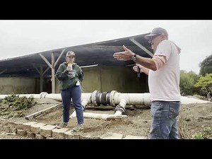 Overview of The Cultured Abalone Farm