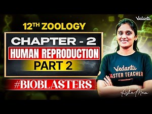 12th Zoology | CH 2 Human Reproduction Part 2 | State Board | Asha Ma'am