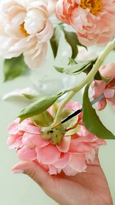 83K views · 2.7K reactions | My clay Coral Peony Any art does not live without a viewer. I am inspired not only by flowers and their uniqueness, but also by your attention to my work, your kind words and support. #clayflowers #floral #creating #peony #sugarflowers #art #artist #floralart | Julia Oleynik | Facebook