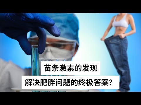 Ep 51 科学家们是如何发现“瘦素”的 它可以帮助我们轻松瘦身？｜Leptin