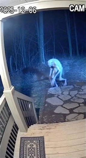 Paranormal creature 10