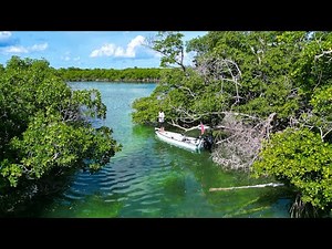 Living My Best Life | No Agenda | Fishing and Diving