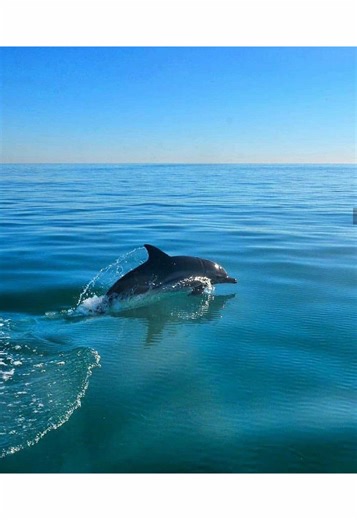 Top Night Clubs in Ibiza: Your Ultimate Party Guide