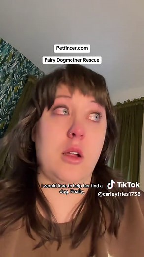 Adopting Pets Made Easy with Petfinder
