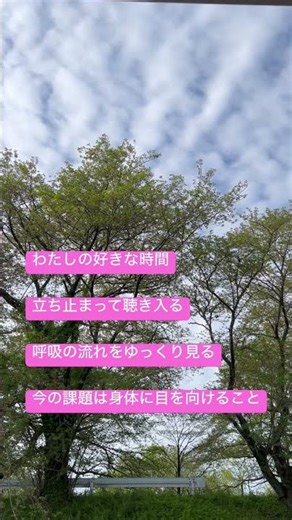 ずっと身体の内側に流れていた呼吸の流れを見る✨ #実験中 #今日のつぶやき