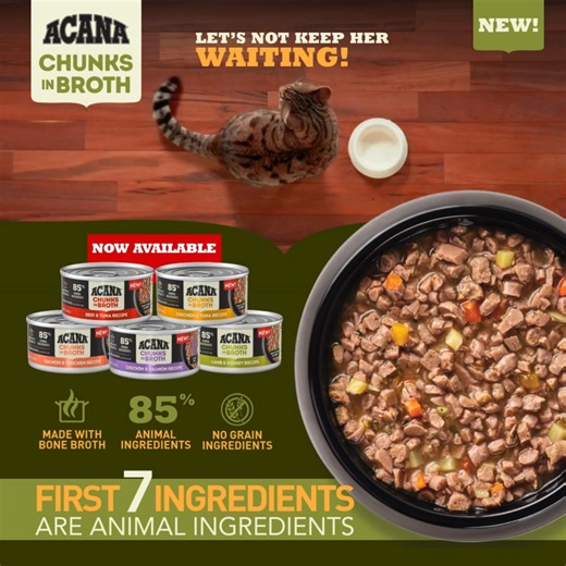💛 Introducing ACANA™ Wet Cat Food. Make mealtime the highlight of your cat’s day with ACANA™ Wet Cat Food — crafted with up to 85% premium animal ingredients and simmered in nourishing bone broth for a naturally hydrating, protein-rich meal. 🌿 ✨ Why cats love it: 💧 Hydrating bone broth goodness 🥩 Real meat, poultry & fish in every bite 🌾 Grain-free — no fillers or artificial flavours 🔥 Gently cooked to lock in taste & nutrients 🍽️ 4 irresistible recipes: Chicken & Tuna • Salmon & Chicken 
