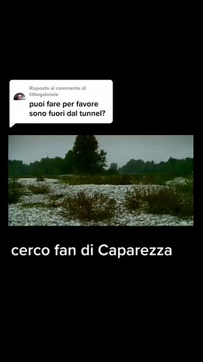 Risposta a @littlegabriele #caparezza #sonofuoridaltunnel #fan