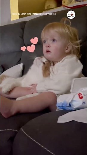 これぞ大親友🐱💗👧｜PECO