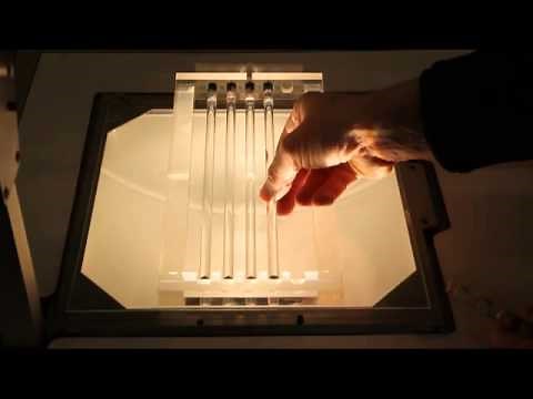 Demonstrationsgerät zum Viskositätsvergleich 1