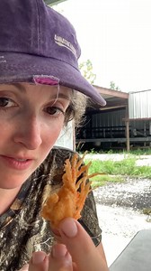 186K views · 4.6K reactions | Mr. Bruce taught me about frying spider legs. They are delicious! | Anna The Archer | Facebook