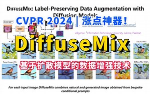 CVPR涨点神器！DiffuseMix：基于扩散模型的数据增强技术！涨点显著！——AI论文/计算机视觉