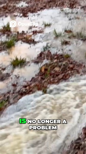 French drain vs Venice drain