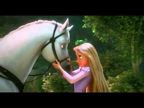 Tangled - Maximus