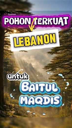 POHON TERKUAT LEBANON UNTUK BAITUL MAQDIS