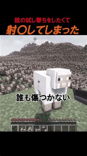 村人を射⚪︎するグロックス