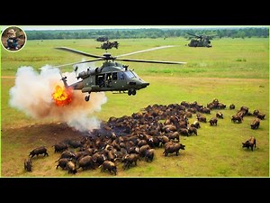 How Do Hunters And American Farmers Deal With Millions Of Wild Boars By Helicopter and Trap