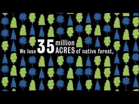 Big Question: What is nature worth?