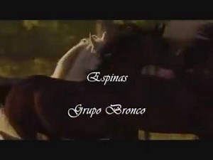 Espinas. (Letra) BRONCO