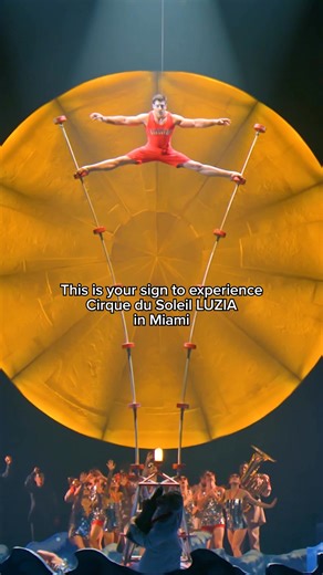 Miami, experience the globally acclaimed Cirque du Soleil LUZIA 曆 | Cirque du Soleil | Facebook