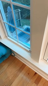 50 reactions · 13 comments | This cute chipmunk lives on my patio and I call him Alvin. #Chipmunk #wildlife #animals #cute #LiveTheVibe | Jamie MacKenzie | Facebook