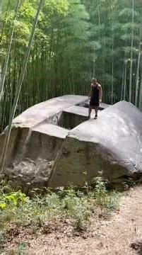 Deep in the jungle hides… the ‘Rock Ship’