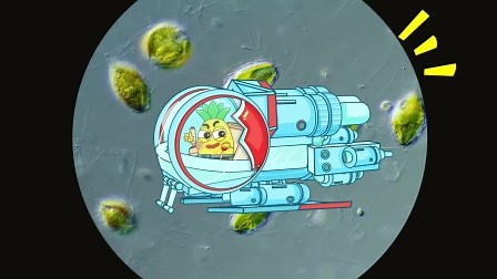 神奇的微观世界