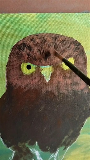 Owl Acrylic Painting Part 1 #tutorial #painting #art #acrylic #owl #birds