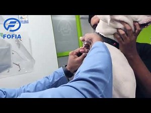 Complete Guide to Pet Microchips: How to Use & Read with a Scanner