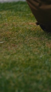 From airport to city, the Pro Rolling Backpack rolls, wears, or transforms with wheel covers that keep your clothes clean. | Beis