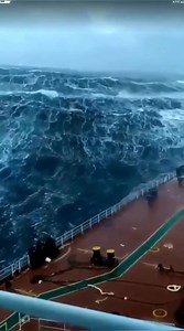 North Sea: The Most Dangerous Sea in the World! The North Sea has sunk over 1,000 ships! What makes it so dangerous, and why do ships still travel here? Learn the hidden secrets of this deadly sea. Watch now! #NorthSea #DangerousSea #SeaSecrets #WorldsDangers #Shipwrecks #OilPlatforms #DeadlyWaves #ScienceInfo #WorldWar2 #SeaMysteries #AdventureStories #MarineLife | DUF INFO