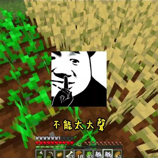 麥塊日常 34：凌晨一點失眠玩麥塊，結果掠奪者小隊直接讓我不用睡了 #Minecraft