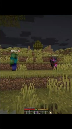 Minecraft Tick Freeze 🥶 #minecraft #edit