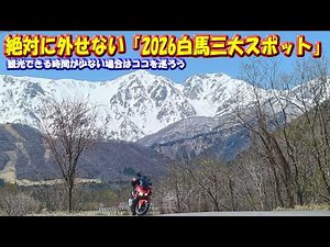 4/12 Breathtaking Scenery [Hakuba 2026] The Northern Alps and Cherry Blossoms in a Collaboration!...