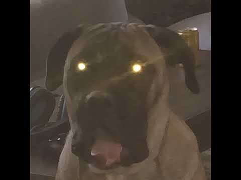 Random Rust Stream ?!?