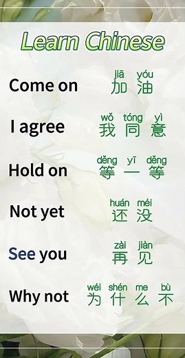 Speak Chinese Today! 🗣️ Beginner Mandarin Lesson