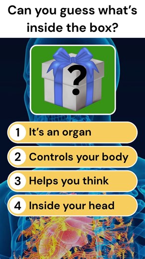 Mystery Box Challenge! # 21 | Fun Quiz #Shorts #QuizChallenge #GuessTheBox