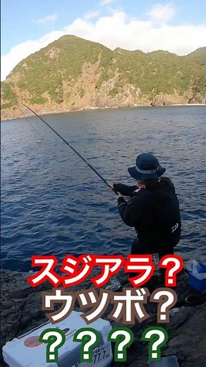 #釣り #スジアラ #fishing #世界自然遺産 #奄美大島 #磯釣り #daiwa#魚