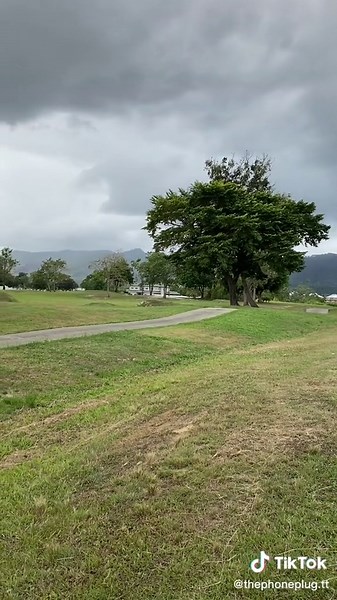 Comparison video pt 2.Comment which device we should compare next. 📱🔌#fyp #trini_tiktoks #trini#iphone11 #iphonexr #apple #cameraquality #comparison#viral #thephoneplug #phoneplug