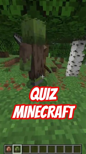 👃 ¿Eres PRO con los ALDEANOS? (Test Rápido Minecraft)