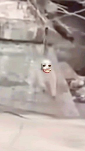 Funny Dog Reaction 😂 Follow 7rivedi for more 😂 #viralreelschallenge #funnydog #funnylion #funnytiger #dog #doglife #doglover #dogs #dogoftheday #puppy #reels #funnyvideos #fyp #cats #catlove #catselife #cat #comedy #funnymoments #humor #memes #trend #viralvideo #trendingreelsvideo | 7rivedi