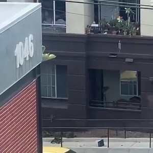 202K views · 314 reactions | Day 28 of quarantine | Soul Assassins | Facebook