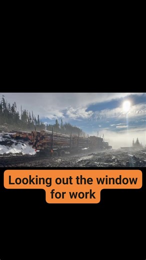#truckinglife #logger | Freya Logging Inc