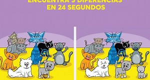 Mira atentamente las imágenes de este video y descubre si puedes encontrar los detalles que esconden.