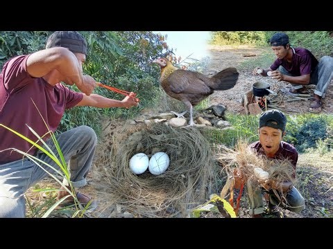 2 Days Hunting & camping 💀 found wild eggs|asmr slingshot hunting|How to use Survival skills