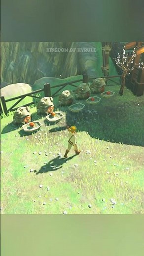 Korok Guide: Find Korok Seeds in Zelda: Breath of the Wild!