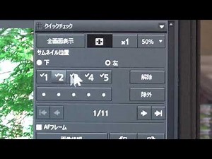 DPP4の使い方－3 クイックチェック画面